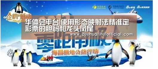 华体会平台|使用形态映射法精准定彩票的胆码和龙头凤尾(图2) 华体会app