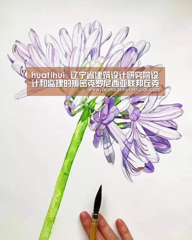 华体会官网网页版